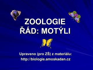ZOOLOGIE ŘÁD: MOTÝLI