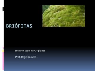 BRIO=musgo; FITO= planta Prof: Regis Romero