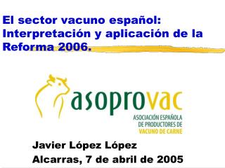 El sector vacuno español: Interpretación y aplicación de la Reforma 2006.