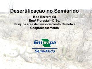 Desertificação no Semiárido Iêdo Bezerra Sá Engº Florestal - D.Sc.