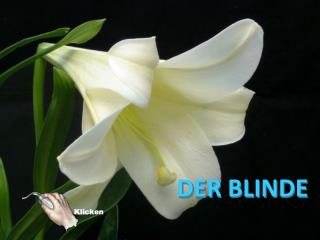 DER BLINDE