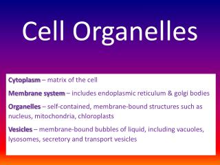 Cell Organelles