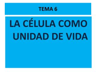 TEMA 6