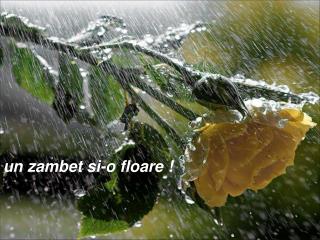 un zambet si-o floare !