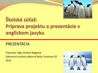 Školská súťaž: Príprava projektu a prezentácie v anglickom jazyku