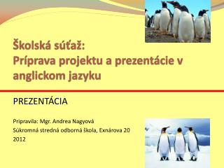 Školská súťaž: Príprava projektu a prezentácie v anglickom jazyku