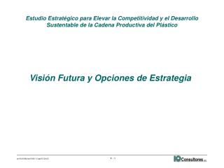 Visión Futura y Opciones de Estrategia