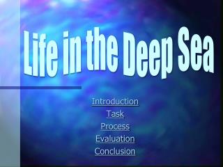 Life in the Deep Sea