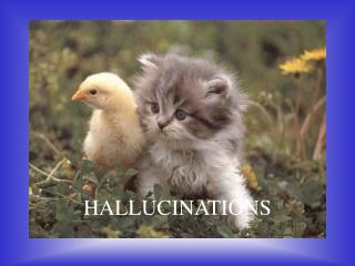 HALLUCINATIONS