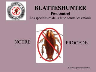 BLATTESHUNTER Pest control Les spécialistes de la lutte contre les cafards