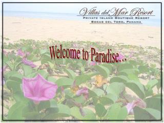 Welcome to Paradise…