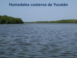 Humedales costeros de Yucatán