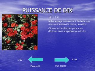 PUISSANCE DE DIX