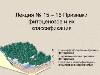 Лекция № 1 5 – 16 Признаки фитоценозов и их классификация