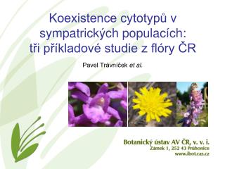 Koexistence cytotypů v sympatrických populacích: tři příkladové studie z flóry ČR