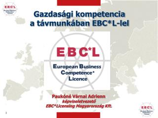 Gazdasági kompetencia a távmunkában EBC*L-lel