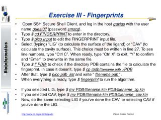 Exercise III - Fingerprints