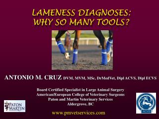 LAMENESS DIAGNOSES: WHY SO MANY TOOLS?