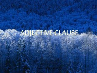 ADJECTIVE CLAUSE