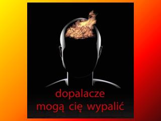 Dopalacze