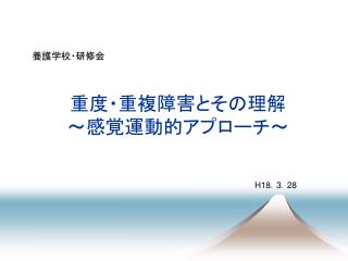 重度・重複障害とその理解 ～感覚運動的アプローチ～