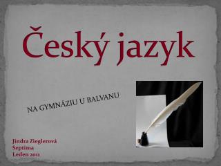 Český jazyk