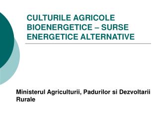 CULTURILE AGRICOLE BIOENERGETICE – SURSE ENERGETICE ALTERNATIVE