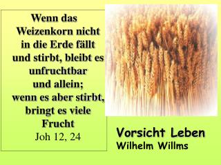 Vorsicht Leben Wilhelm Willms