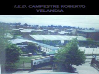 I.E.D. CAMPESTRE ROBERTO VELANDIA