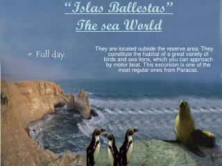 “Islas Ballestas” The sea World