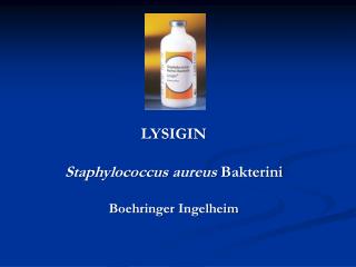 LYSIGIN Staphylococcus aureus Bakterini Boehringer Ingelheim