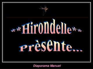 **Hirondelle**