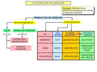 LA EXCRECIÓN EN ANIMALES