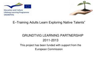 E–Training Adults Learn Exploring Native Talents”