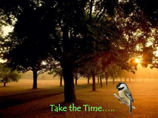 Take the Time …..