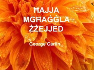 ĦAJJA MGĦAĠĠLA ŻŻEJJED George Carlin