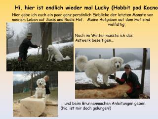 Hi, hier ist endlich wieder mal Lucky (Hobbit pod Kocno)