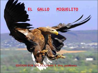 EL GALLO MIGUELITO