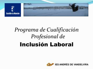 Programa de Cualificación Profesional de Inclusión Laboral