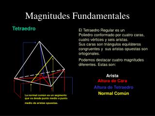 Magnitudes Fundamentales