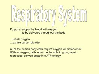 Respiratory System