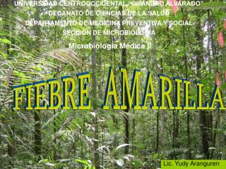 FIEBRE AMARILLA