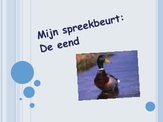 Mijn spreekbeurt: De eend