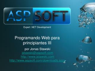 Programando Web para principiantes III