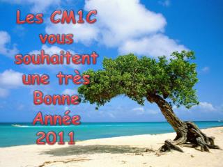 Les CM1C vous souhaitent une très Bonne Année 2011