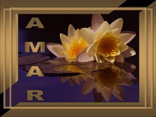 AMAR