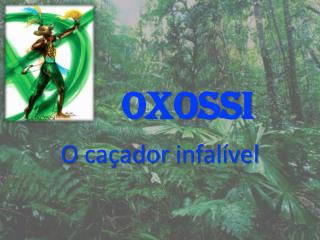 OXOSSI