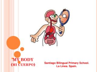 MY BODY (mi cuerpo)