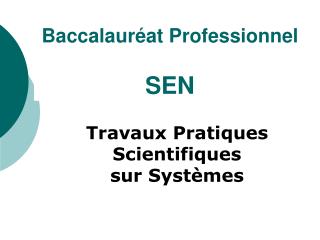 Baccalauréat Professionnel SEN