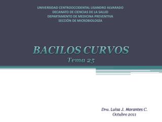 UNIVERSIDAD CENTROOCCIDENTAL LISANDRO ALVARADO DECANATO DE CIENCIAS DE LA SALUD